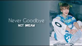 [1 시간 / 1 HOUR LOOP] NCT DREAM 엔시티 드림 “북극성 (Never Goodbye)” by Jaem Coffee 35,491 views 2 years ago 1 hour, 3 minutes