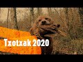 Txotxak 2020