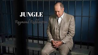 Jungle -  X Ambassadors, Jamie N Commons// Raymond Reddington
