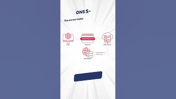 What is DNS ? | Day 9 | #dailyshorts #networkershome #dns