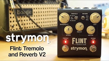 Strymon Flint Tremolo & Reverb V2 (Stereo)