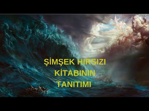 ŞİMŞEK HIRSIZI KİTABININ TANITIMI