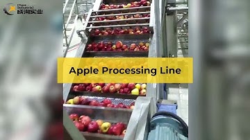 Cencentrated apple juice processing line: step by step guide