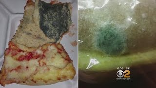 Doctor Calls School Food 'Significantly Dangerous'