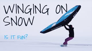 Learning to Snow Wing