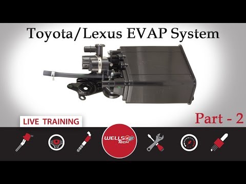 EVAP - Toyota & Lexus Systems Part 2 - Key Off, Bladder, and Closed Systems