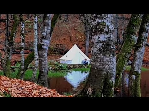 Bolu Yedigöller / Sonbahar kampı / bolu çadır kamp alanları /kamp videoları