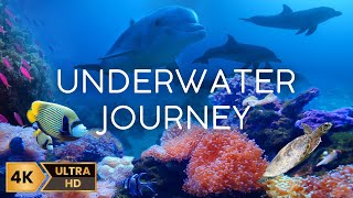 Underwater Journey – Relaxing 4K Ocean Scenery with ASMR and Ambient Instrumental Music – 12 Hours