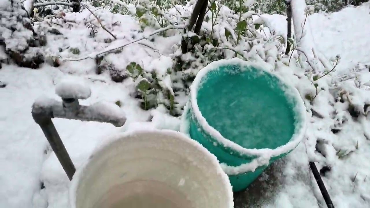 साल 2026 की पहली बर्फ़बारी ने गैरसैंण, चमोली (उत्तराखंड) को स्वर्ग सा बना दिया।