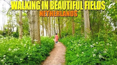 WALKING IN THE BEAUTIFUL FIELDS OF VELSERBROEK, NETHERLANDS