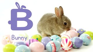 Easter ABC - Easter Alphabet Egg Hunt