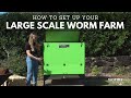 How to set up your large scale worm farm!