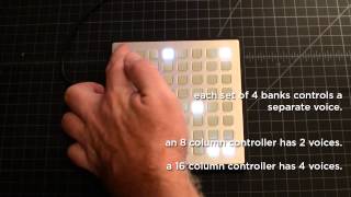nw2s::b and monome 64 2-voice sequencer