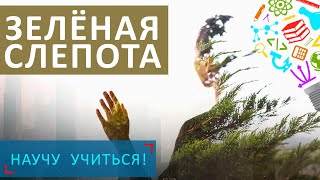 Зеленая слепота - Научу Учиться - Выпуск 77