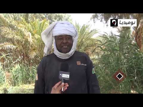 محمد ميلودي فلاح أعاد الحياة إلى صحراء إليزي