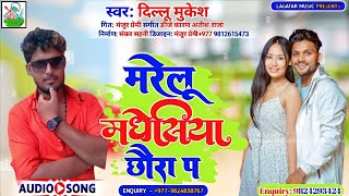 2023 Ka New Dhamaka Song || मरेलु मधेशिया छाैरा पs || Mukesh Dillu || Marelu Madheshiya Chhaura Pa