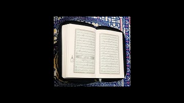 سوره العنكبوت مع القارئ محمد احمد #قرآن #قران_كريم #سورة_العنكبوت
