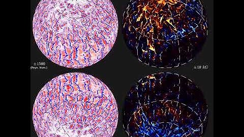 Velocity and  magnetic field in a fully convective M-star dynamo simulation