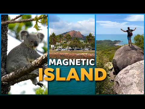MAGNETIC ISLAND: 🇦🇺 Australia&#39;s MOST SPECIAL Little Island!? Koala &amp; Wallaby PARADISE 🐨🦘