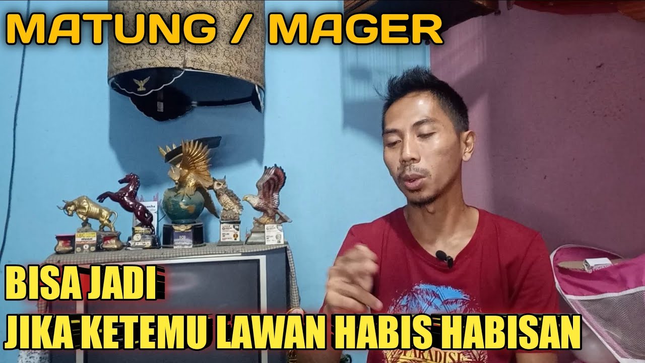MB MATUNG MAGER !! BISA JADI KETEMU MUSUH HABIS HABISAN KERJANYA
