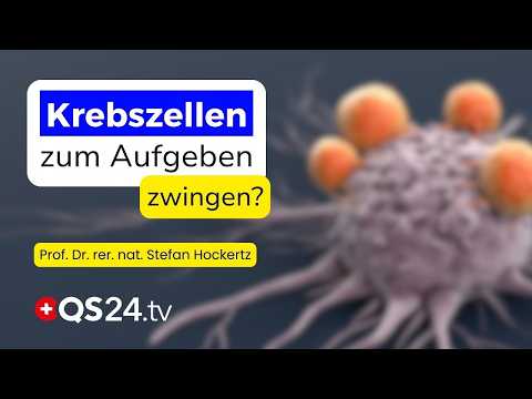 Huaier mushroom in focus: Can natural medicine open up new avenues in the treatment of cancer? | ...