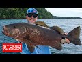 Inshore Cubera Snapper and a Wicked Offshore Tuna Bite | Stoked On Fishing Full Episode | 2020