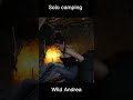 Solo camping  camping survival building outdoorsbushcraft  challenge