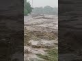 Man shocks residents by diving into fast flowing river and survived