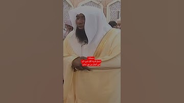 تلاوة خاشعة للشيخ بدر المشاري