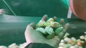 Pebble sorting site.#mineral #automatically #aivisualsorting#gorithms#AI optical#pebble