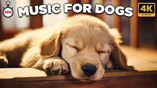 20 HOURS of Dog Calming Music For DogsAnti Separation Anxiety Relief MusicSleep dog