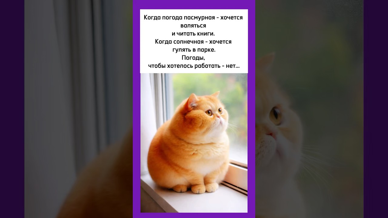 погода против работы 😄 