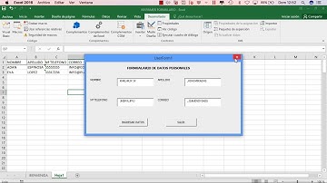Como hacer un FORMULARIO de INGRESO DE DATOS en Excel con VBA