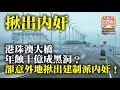 10.6 【揪出內奸】港珠澳大橋年蝕十億成黑洞？卻意外地揪出建制派內奸！