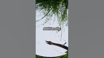 The Hermetic Principle of Correspondence