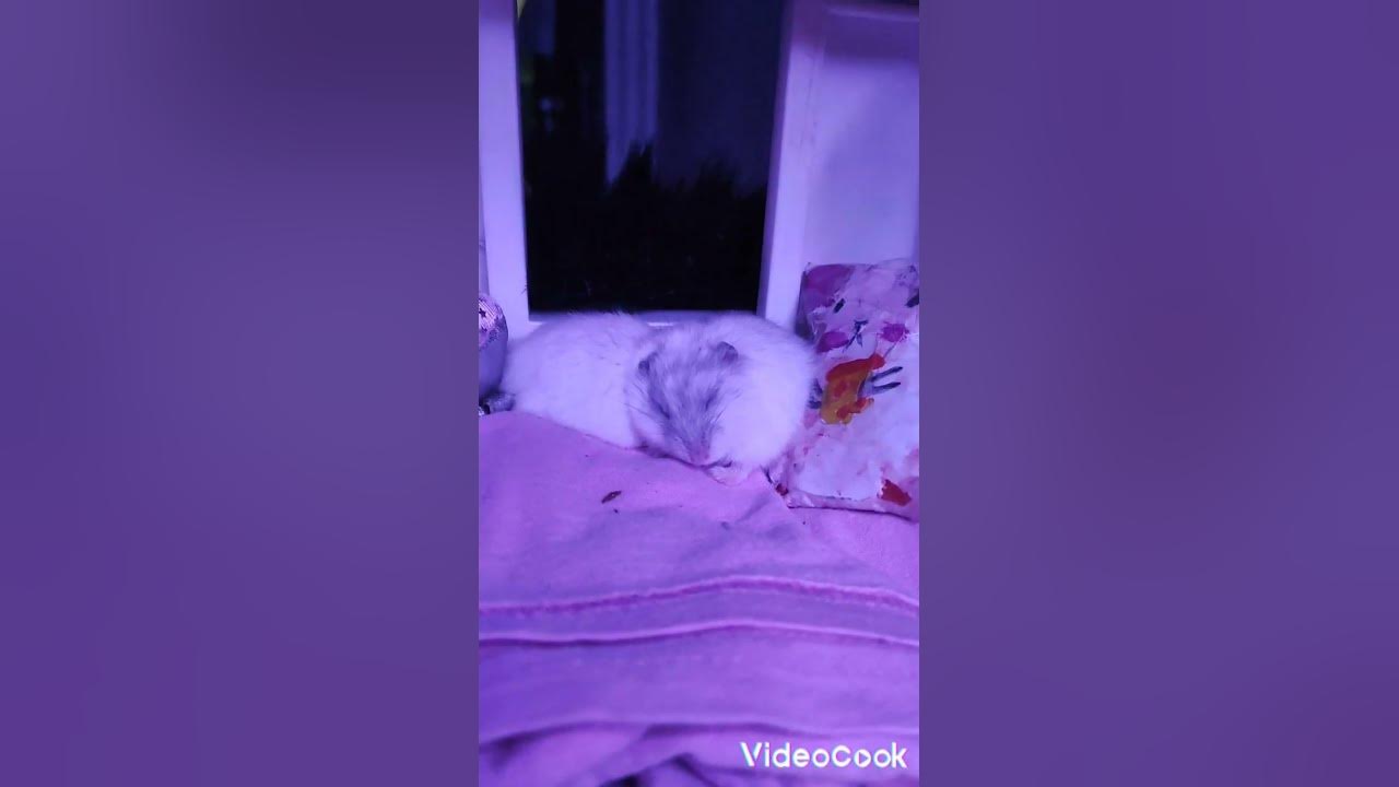 рит - YouTube