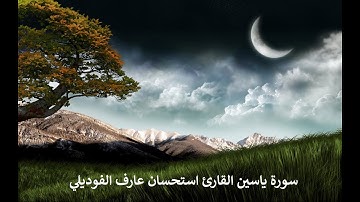 سورة ياسين القارئ استحسان عارف الفوديلي