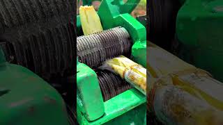 This machine grinds fresh sugar cane stalks to squeeze out sweet juice that is ready to drink