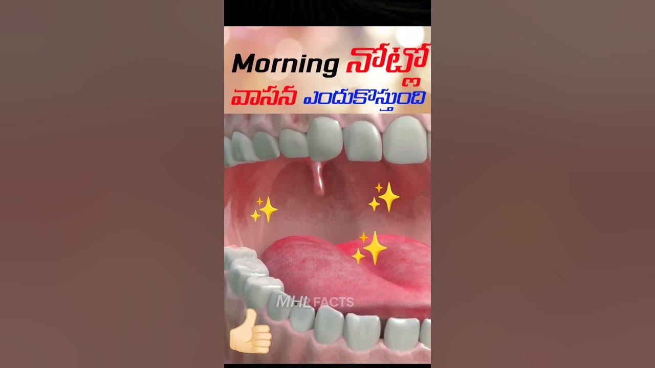 morning-why-does-my-mouth-smell-bad-in-the