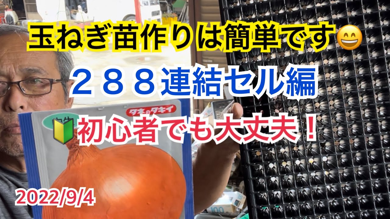 玉ねぎ種まき・玉ねぎ苗の作り方・288連結セルポット編　玉ねぎ栽培方法