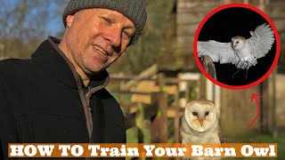 HOW TO: Train your BARN OWL, Owl Training, Owl Babies, Falconry Training, Barn Owl Flying