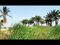 TAZAMA SAUTI NZURI YA MAWIMBI ZIWA TANGANYIKA HUKO KAREMA MUNGU ATUKUZWE TAZAMA SAUTI NZURI YA MAWIMBI ZIWA TANGANYIKA HUKO KAREMA MUNGU ATUKUZWE