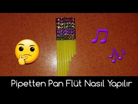 Pipetten Pan Flüt Nasıl Yapılır 🤔 Çocuklar için Evde Müzik Aleti Yapımı