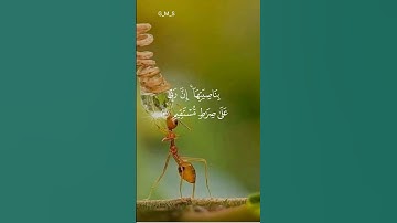 #قران_كريم #ماتيسر من سورة هود