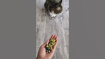 Relaxing Beads ASMR 💛❤️ Reverse Video #shorts