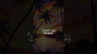 Last 2 Verses of Surah Al-Baqarah🪻Shuraim Saud 🪻 Epic Quran Recitation #shorts #الشريم #سعود