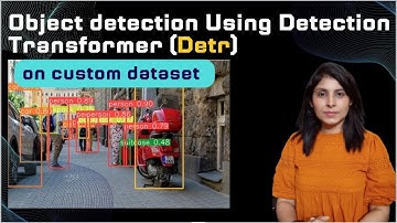 Object detection Using Detection Transformer (Detr) on custom dataset