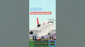 Every PTFS server EVER 💀 #viral #gaming #funny #memes #roblox #ptfs #plane