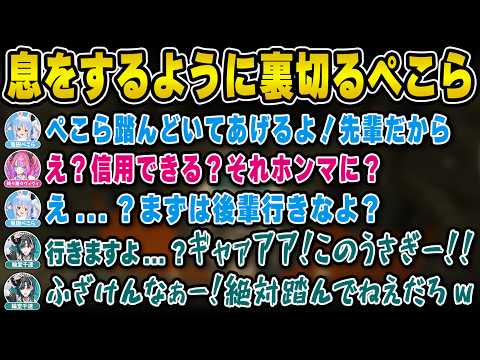 【マイクラ肝試し】悲鳴が飛び交う中息をするように裏切り芸を披露する兎田ぺこら | マイクラ肝試し2026【輪堂千速/ちは/綺々羅々ヴィヴィ/ヴィヴィ/ホロライブ/兎田ぺこら/切り抜き】 #兎田ぺこら