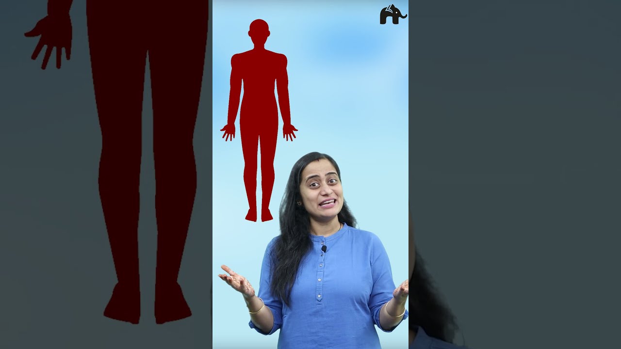 Cell The Unit Of Life Class 11 Biology One Shot With Roshni Mam Concepthogacrystalclear